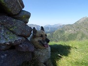 28 Dori riposa all'ombra dell'omone del Monte Avaro (2080 m)